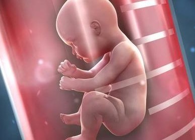 试管促排打塞增的作用有哪些？