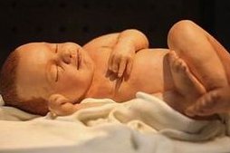 在广州试管高孕激素促排方案到底是什么方案呢？