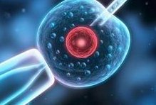 在茂名正规公立生殖助孕医院做一次试管婴儿多少钱？